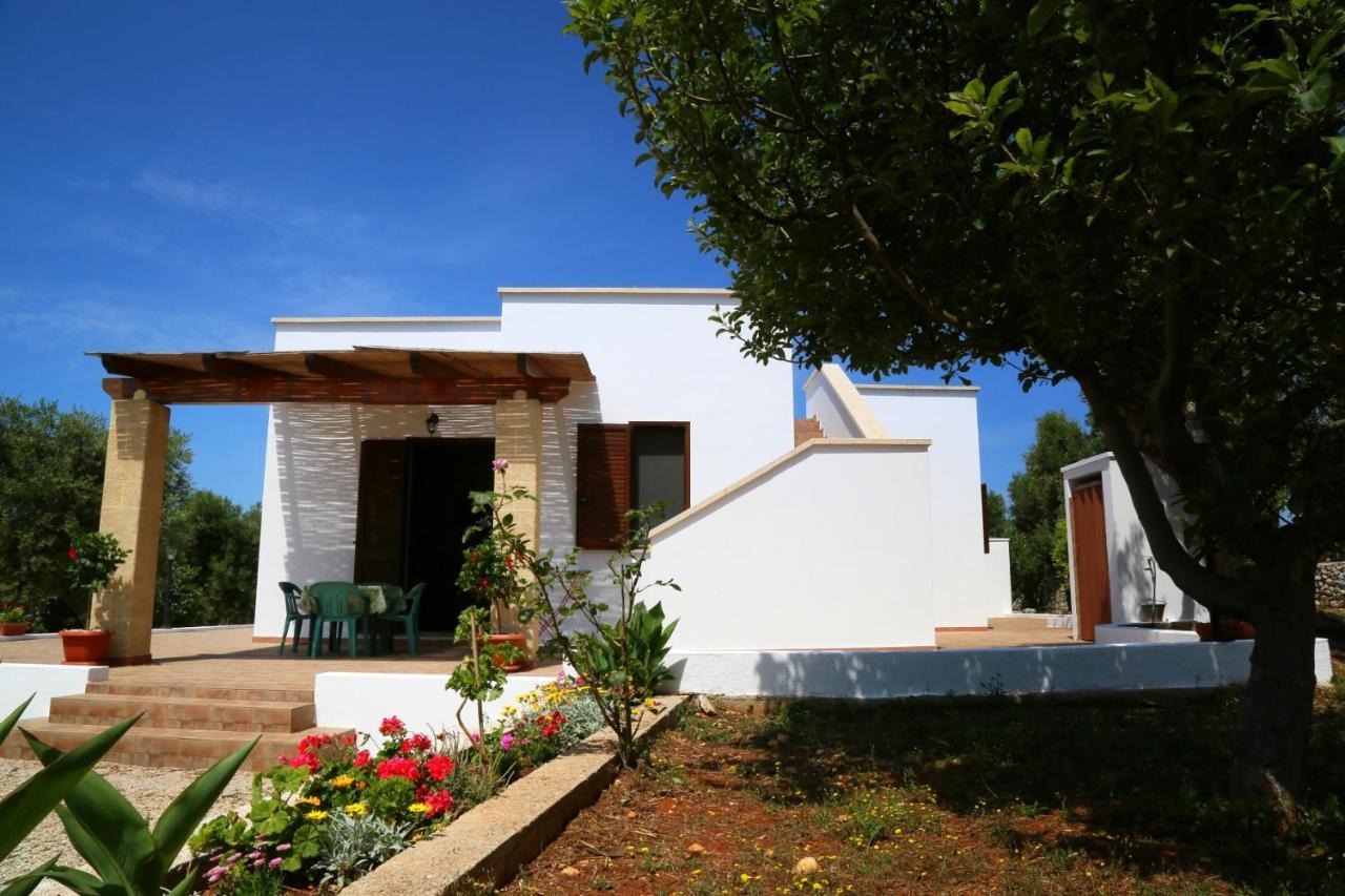 Damiavacanze Casa Vacanza Al Mare A Torre Vado Lejlighed Værelse billede